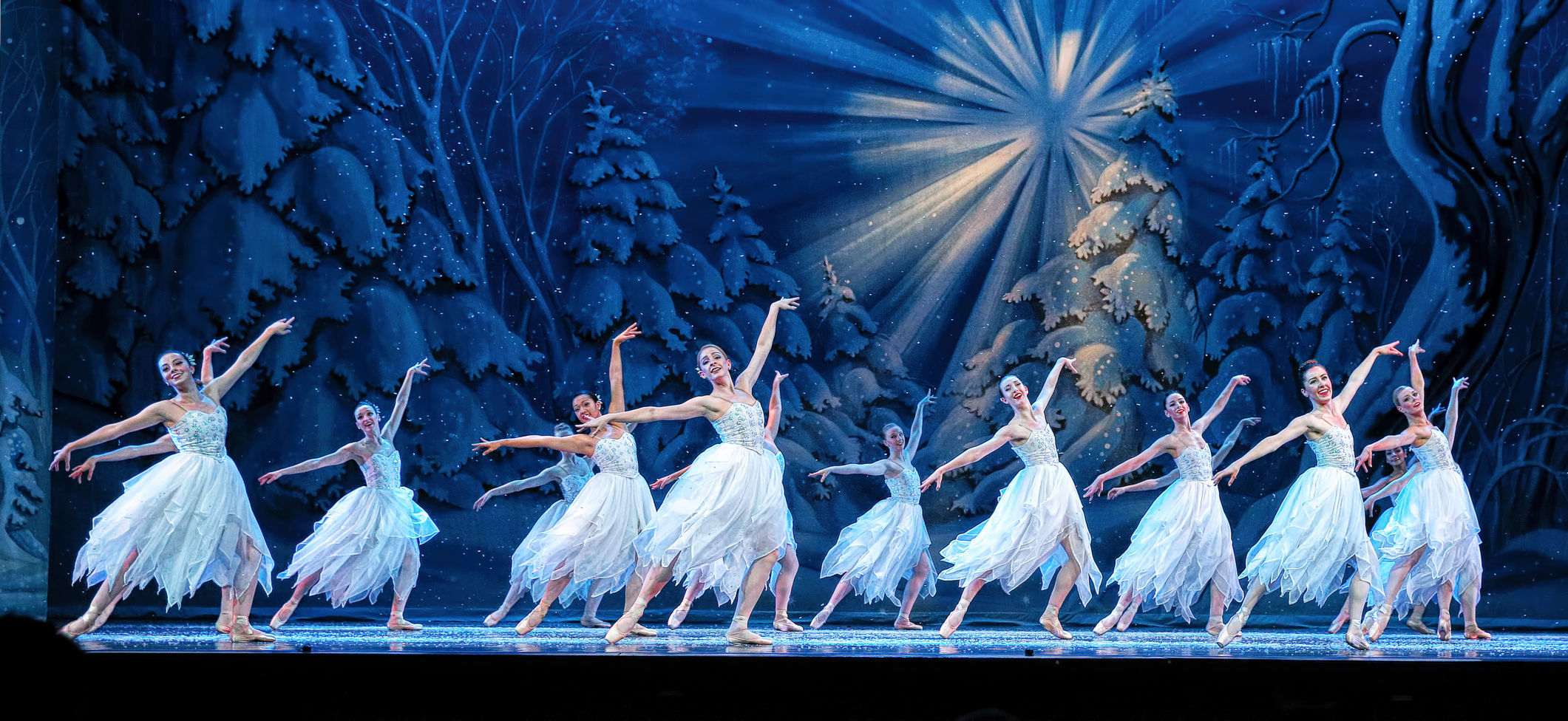 Madison Ballet snowflakes (copy)